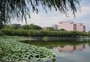 天津大学